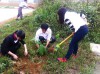 cán bộ, giáo viên và ĐVTN Trung tâm GDTX  tham gia tết trồng cây.