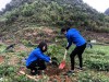 Đoàn viên chi đoàn Văn phòng Tỉnh Đoàn trồng cây xanh tại xóm Mã Lịp, xã Trường Hà, huyện Hà Quảng