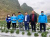 Tỉnh đoàn - Hội LHTN Việt Nam tỉnh Cao Bằng: thăm, hỗ trợ mô hình khởi nghiệp của thanh niên dân tộc thiểu số.