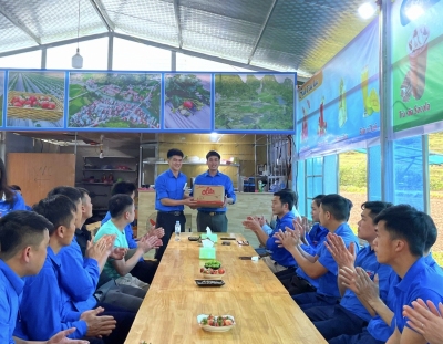 Thăm mô hình “Trồng dâu tây kết hợp du lịch trải nghiệm” của anh Nông Văn Tậu -  Chủ nhiệm HTX Nông nghiệp hữu cơ Đoài Dương tại huyện Trùng Khánh, tỉnh Cao Bằng .
