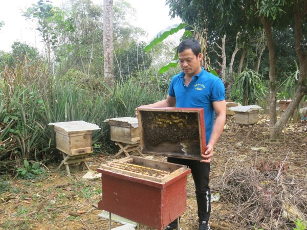 Anh Ngô Phan Lê Huân chăm sóc đàn ong mật