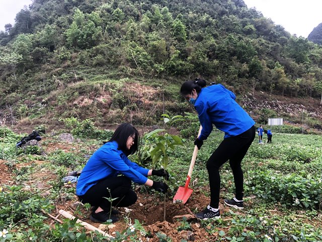 Đoàn viên chi đoàn Văn phòng Tỉnh Đoàn trồng cây xanh tại xóm Mã Lịp, xã Trường Hà, huyện Hà Quảng