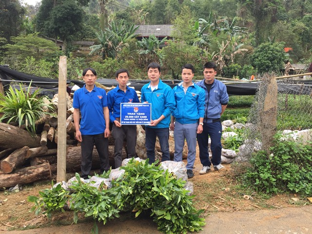 Trao tặng 20.000 cây giống lâm nghiệp cho đoàn viên thanh niên