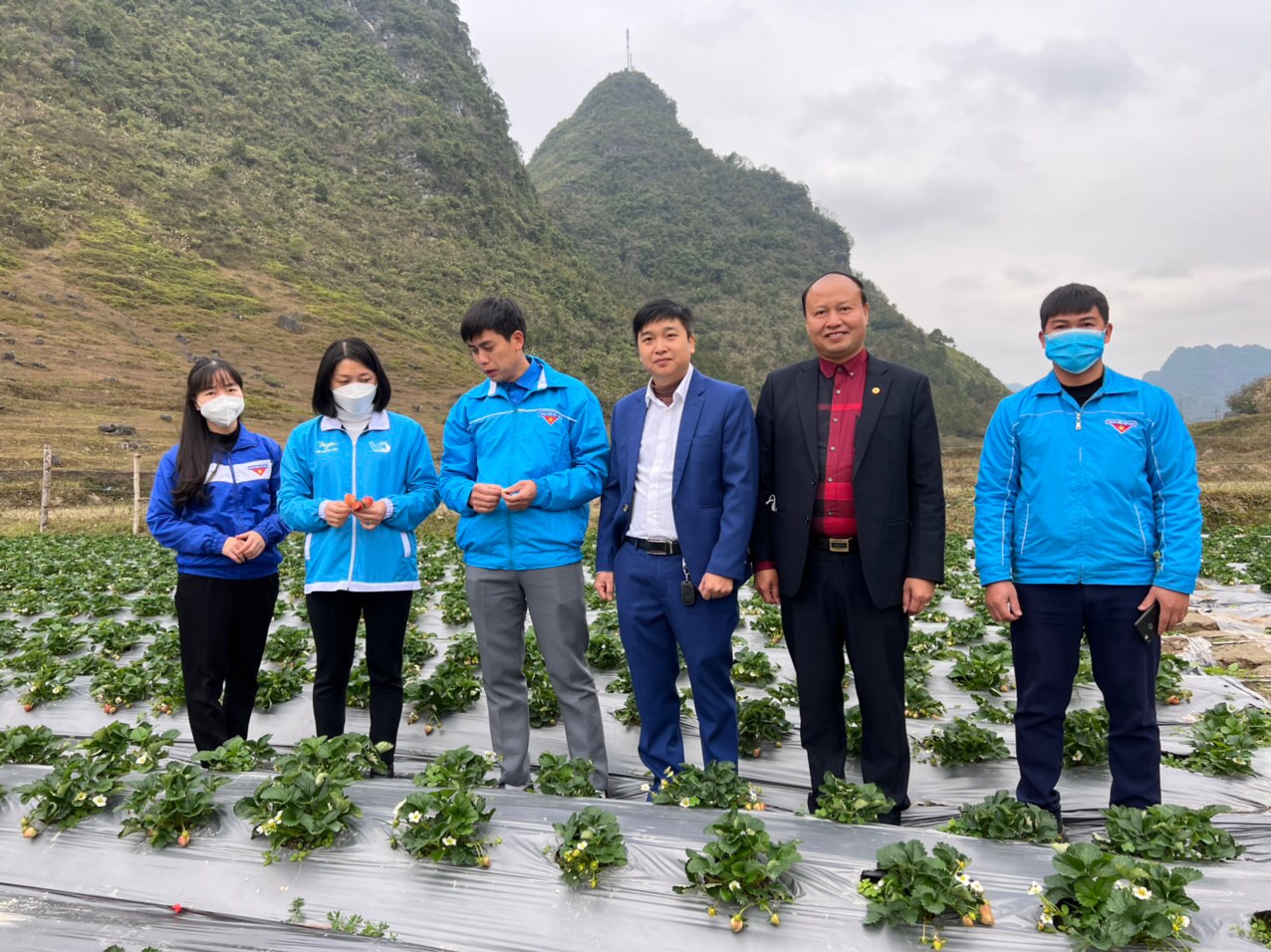 Đoàn công tác  thăm mô hình trồng dâu tây của đoàn viên Nông Văn Tậu