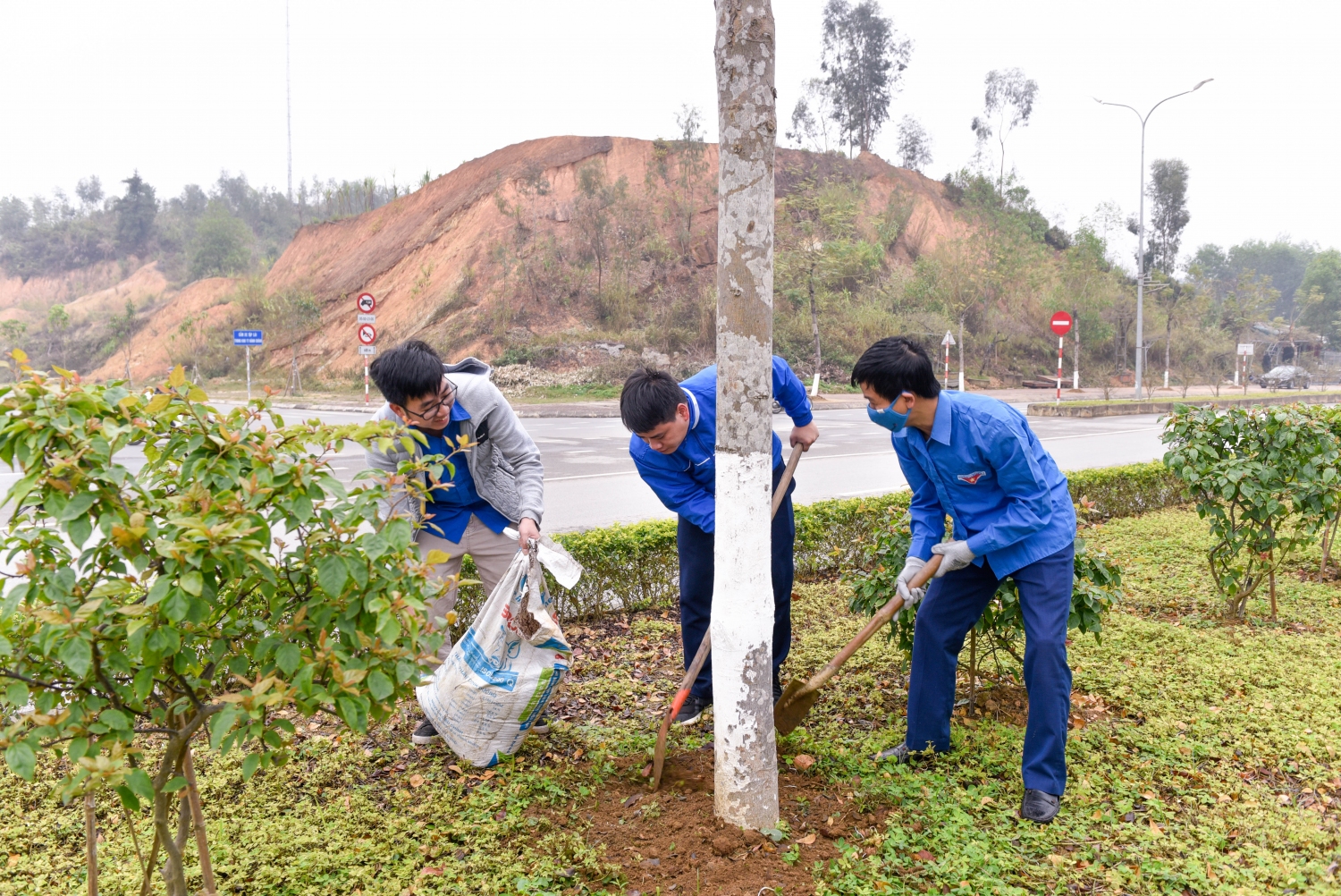 Đoàn viên thanh niên chăm sóc cây trên đường Võ Nguyên Giáp