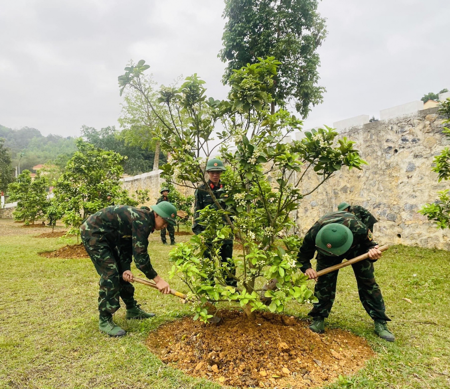 Tuổi trẻ LLVT chăm sóc cây xanh tại Tiểu đoàn 5, Trung đoàn 852