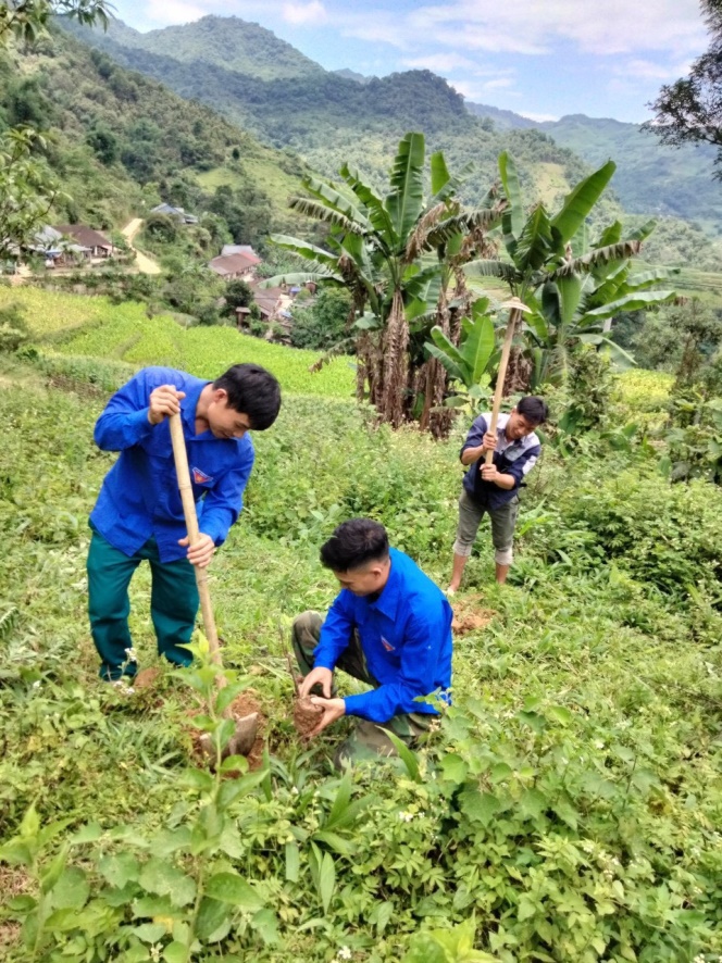 ĐVTN huyện Nguyên Bình trồng và chăm sóc cây xanh