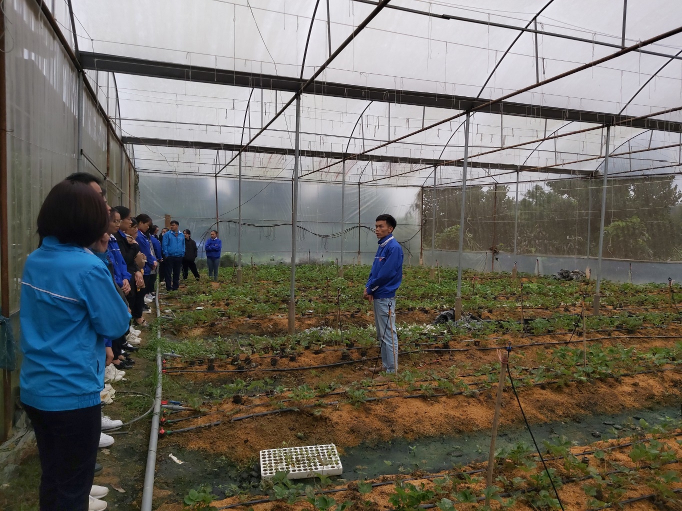Đồng chí Nguyễn Văn Võ Chủ mô hình giới thiệu và hướng dẫn cho đoàn viên thanh niên kỹ thuật chăm sóc cây trồng