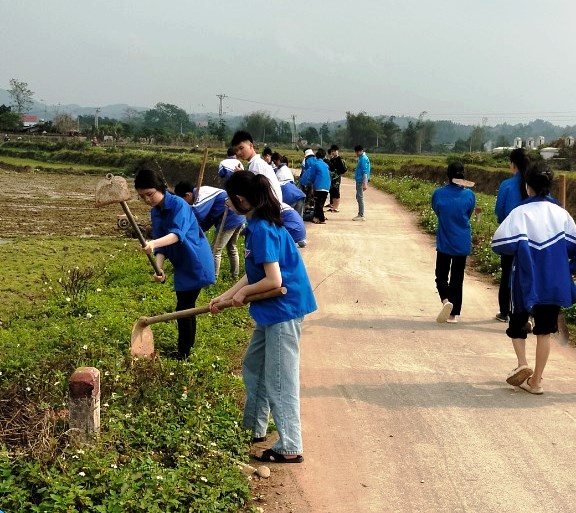 Đoàn viên, thanh niên xã Hưng Đạo trồng cây hoa anh đào, xây dựng tuyến đường “Sáng – Xanh – Sạch – Đẹp”.