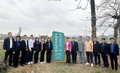 Đoàn Đại biểu tham gia hoạt động trồng cây gây rừng thanh niên Việt - Trung năm 2025 tại thành phố Sùng Tả, Trung Quốc.