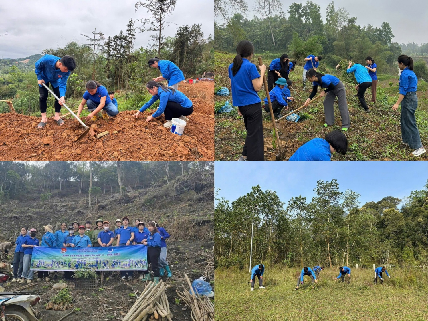 656041651 1245239181130584 7055247299623380394 n